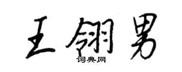 王正良王翎男行書個性簽名怎么寫