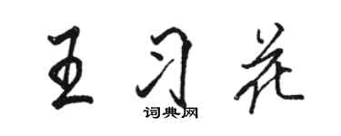 駱恆光王習花行書個性簽名怎么寫