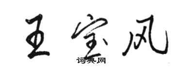 駱恆光王寶風行書個性簽名怎么寫