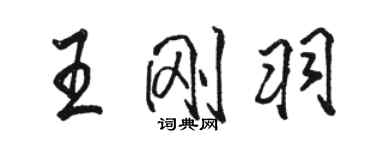 駱恆光王剛羽行書個性簽名怎么寫