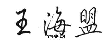 駱恆光王海盟行書個性簽名怎么寫