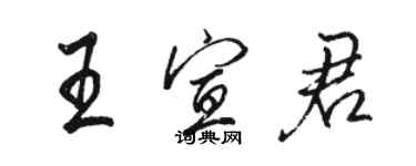 駱恆光王宣君行書個性簽名怎么寫