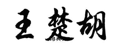 胡問遂王楚胡行書個性簽名怎么寫
