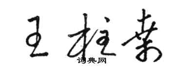 駱恆光王柱桑草書個性簽名怎么寫