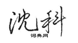 駱恆光沈科行書個性簽名怎么寫