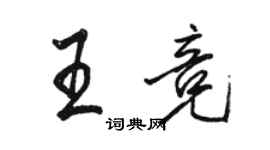 駱恆光王競行書個性簽名怎么寫