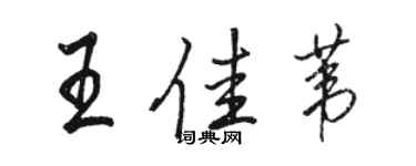 駱恆光王佳葦行書個性簽名怎么寫