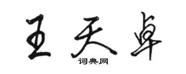 駱恆光王天卓行書個性簽名怎么寫