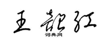 梁錦英王韶紅草書個性簽名怎么寫