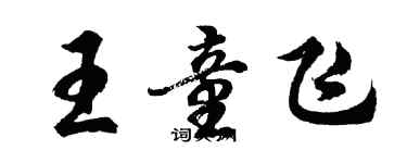 胡問遂王童飛行書個性簽名怎么寫