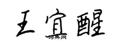 王正良王宜醒行書個性簽名怎么寫