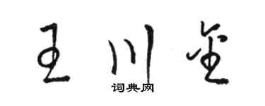駱恆光王川金草書個性簽名怎么寫