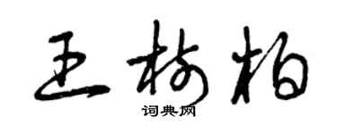 曾慶福王樹柏草書個性簽名怎么寫