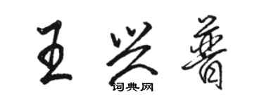 駱恆光王興普行書個性簽名怎么寫