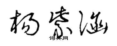 曾慶福楊紫涵草書個性簽名怎么寫