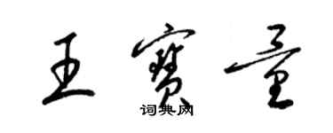 梁錦英王寶量草書個性簽名怎么寫