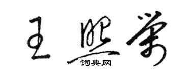 駱恆光王照榮草書個性簽名怎么寫