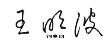 駱恆光王明波草書個性簽名怎么寫