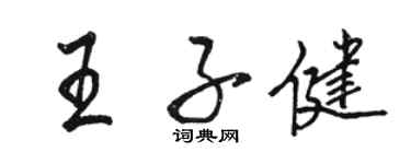 駱恆光王子健行書個性簽名怎么寫
