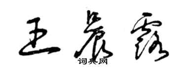 曾慶福王晨露草書個性簽名怎么寫