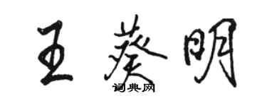 駱恆光王葵明行書個性簽名怎么寫