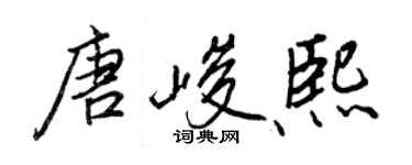 王正良唐峻熙行書個性簽名怎么寫