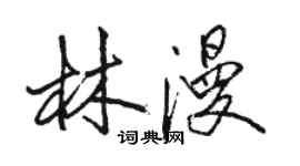 駱恆光林漫行書個性簽名怎么寫