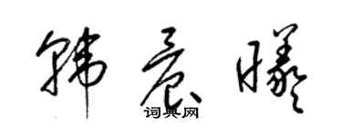 梁錦英韓晨曦草書個性簽名怎么寫