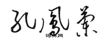 駱恆光孔鳳蘭草書個性簽名怎么寫