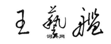 駱恆光王藝艦草書個性簽名怎么寫