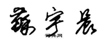 朱錫榮蘇宇晨草書個性簽名怎么寫