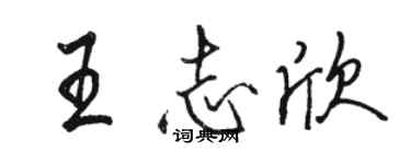 駱恆光王志欣行書個性簽名怎么寫