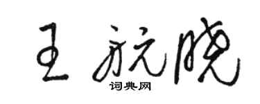 駱恆光王航曉草書個性簽名怎么寫