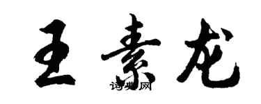 胡問遂王素龍行書個性簽名怎么寫