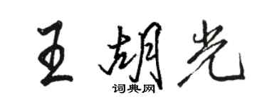 駱恆光王胡光行書個性簽名怎么寫
