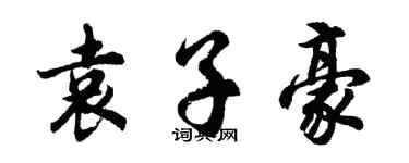 胡問遂袁子豪行書個性簽名怎么寫