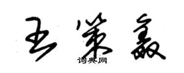 朱錫榮王策鑫草書個性簽名怎么寫