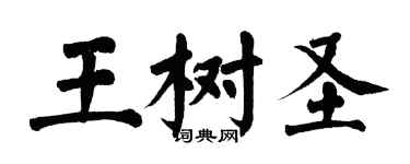 翁闓運王樹聖楷書個性簽名怎么寫