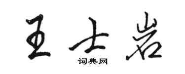 駱恆光王士岩行書個性簽名怎么寫