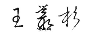 駱恆光王叢杉草書個性簽名怎么寫