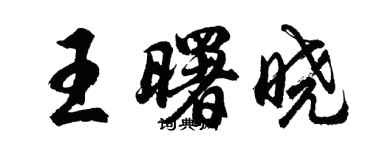 胡問遂王曙曉行書個性簽名怎么寫