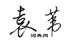 駱恆光袁葦行書個性簽名怎么寫