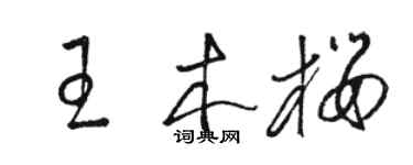 駱恆光王木櫻草書個性簽名怎么寫