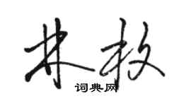 駱恆光林枚草書個性簽名怎么寫