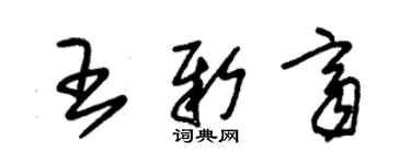 朱錫榮王新齊草書個性簽名怎么寫