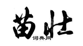 胡問遂苗壯行書個性簽名怎么寫