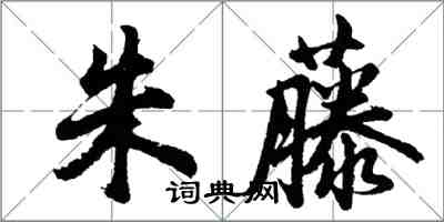 胡問遂朱藤行書怎么寫