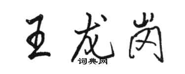 駱恆光王龍崗行書個性簽名怎么寫