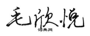 駱恆光毛欣悅行書個性簽名怎么寫