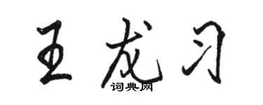 駱恆光王龍習行書個性簽名怎么寫